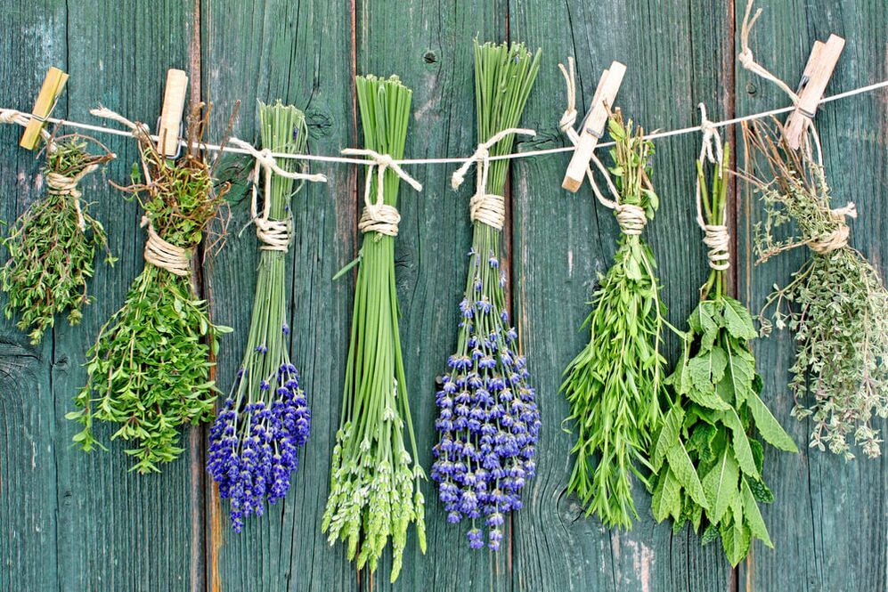 Herbs for Success and Prosperity